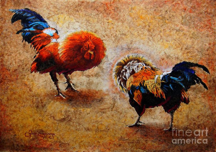 728x514 Fighting Rooster Paintings ~ Wcdf - Fighting Rooster Painting