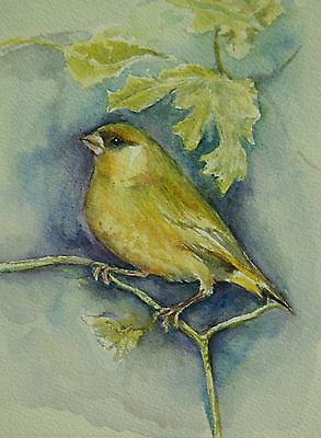 293x400 Green Finch Painting - Finch Painting