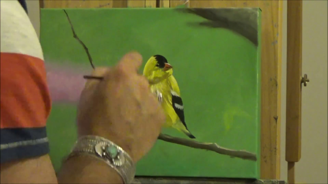 1280x720 Gold Finch - Finch Painting