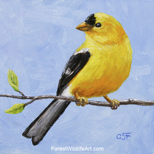 500x500 Goldfinch Mini Painting - Finch Painting