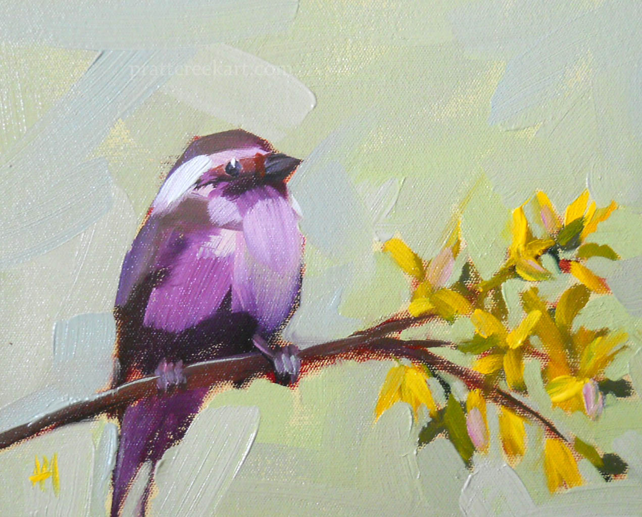 1271x1023 Purple Finch And Forsythia Painting Angela Moulton's Painting A Day - Finch Painting