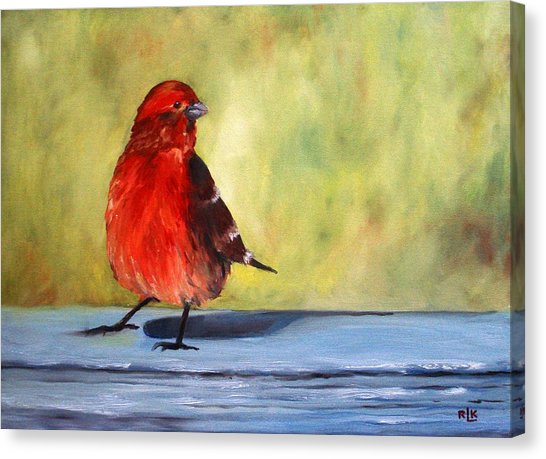 546x459 Red House Finch Painting By Richard Klingbeil - Finch Painting