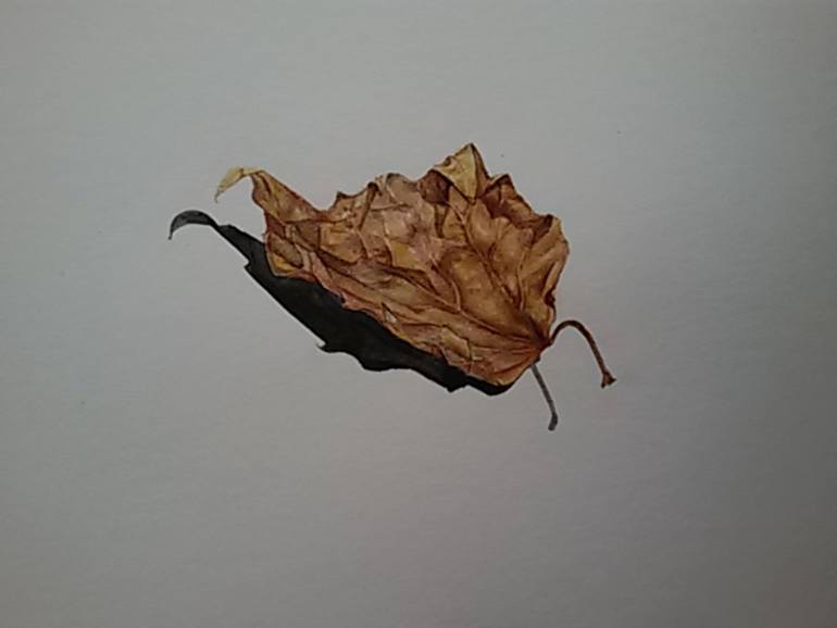 770x578 Saatchi Art Dry Brown On Shadow Painting By Sarah Finch - Finch Painting