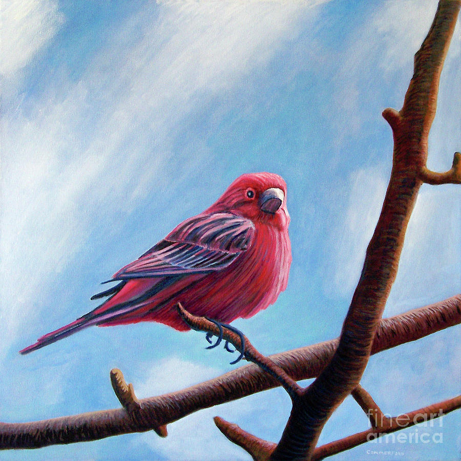 900x900 Winter Finch Painting By Brian Commerford - Finch Painting