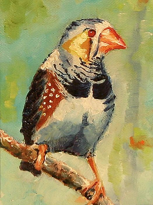 525x700 Zebra Finch Painting Carol Jo Smidt Bird - Finch Painting