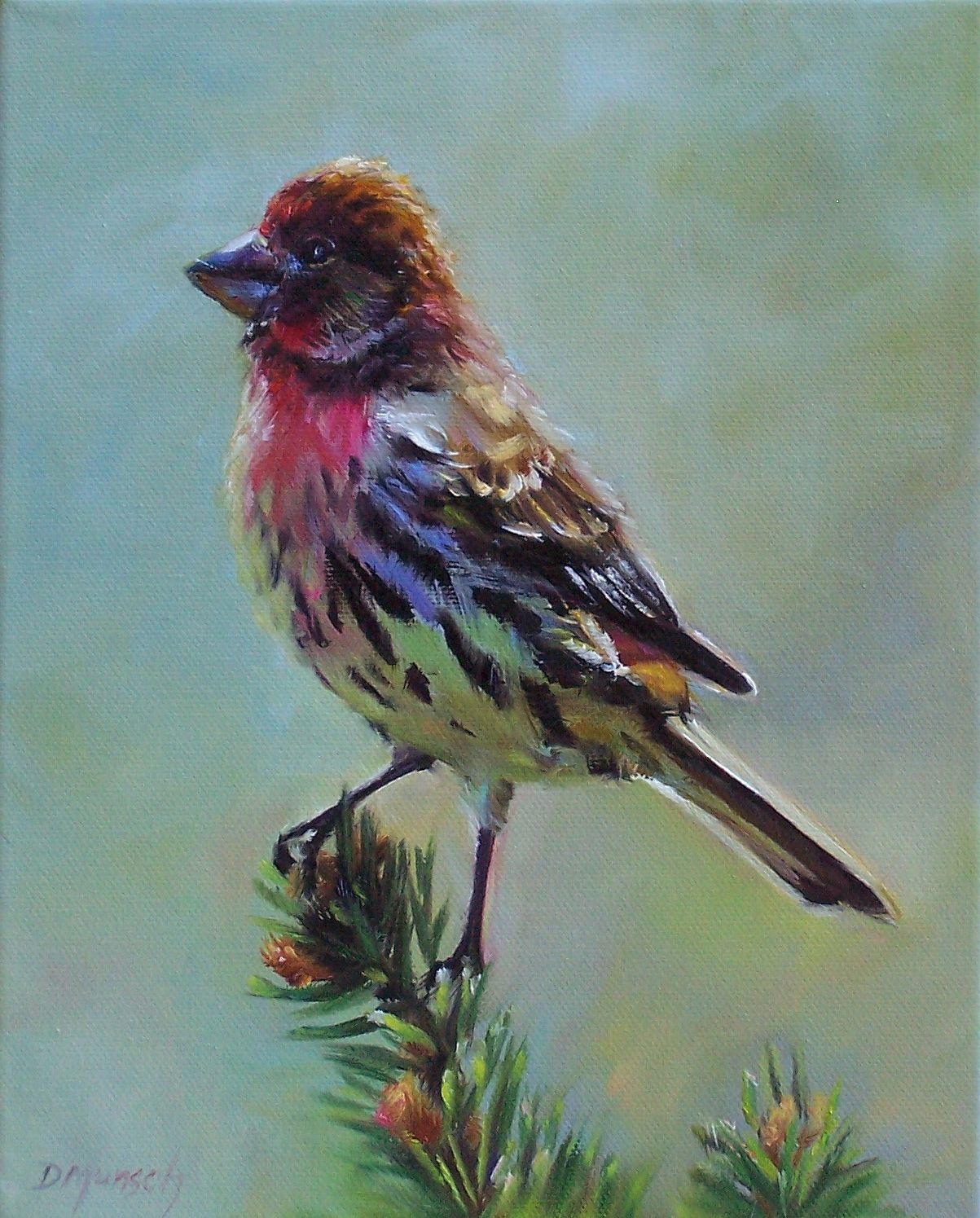 1203x1495 Donna Munsch Fine Art Original Oil Painting House Finch - Finch Painting