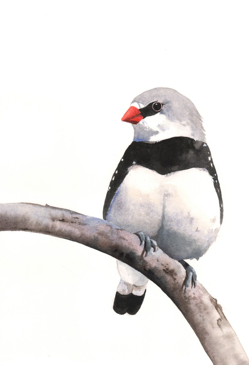 1026x1500 Finch Painting Bird Watercolor Print Of By Splodgepodge On Etsy - Finch Painting