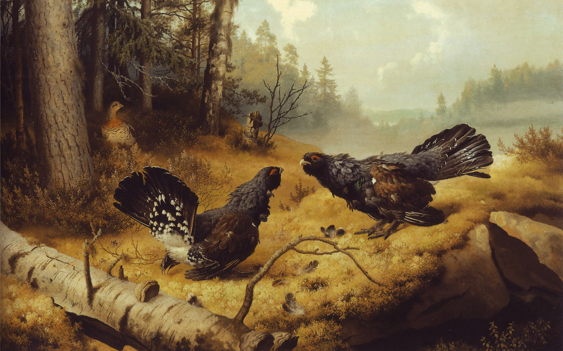 1920x1200 Golden Age Of Finnish Art As Hd Wallpapers - Finnish Painting