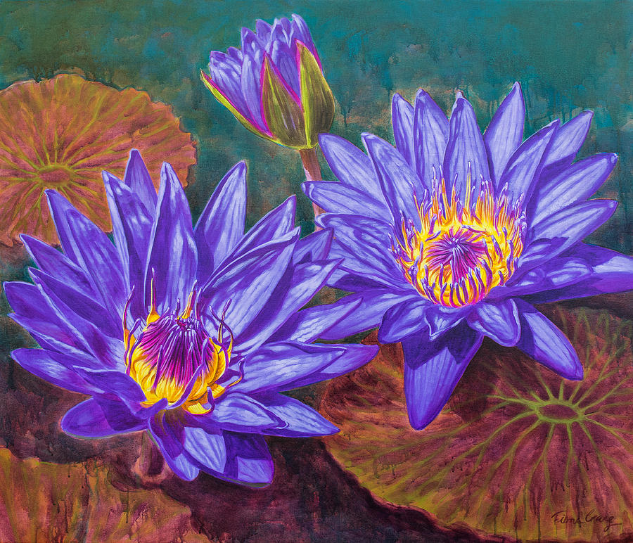 900x772 Water Lilies 9 - Fiona Painting