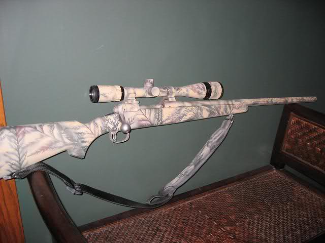 640x480 Hunting Forum Amp Fishing Forum Cleaning My Painted Savage Fox - Firearm Painting