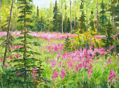 500x369 Fireweed - Fireweed Painting