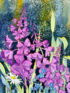 236x313 Alaska Fireweed Canvas Print Canvas Art By Sharon Freeman - Fireweed Painting