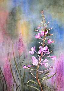 212x300 Fireweed Paintings Fine Art America - Fireweed Painting