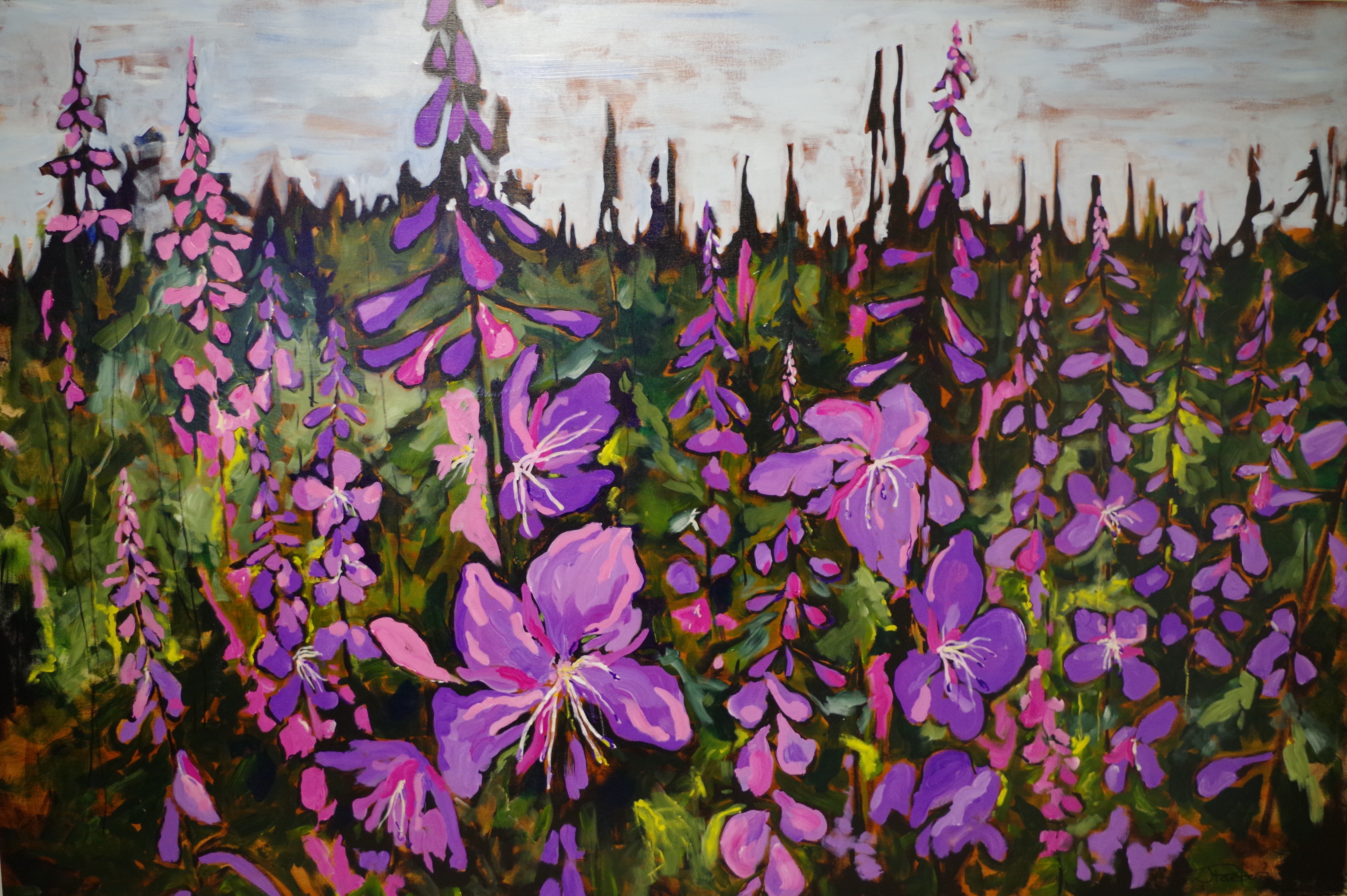 4686x3118 Janice Parker Art Fireweed - Fireweed Painting