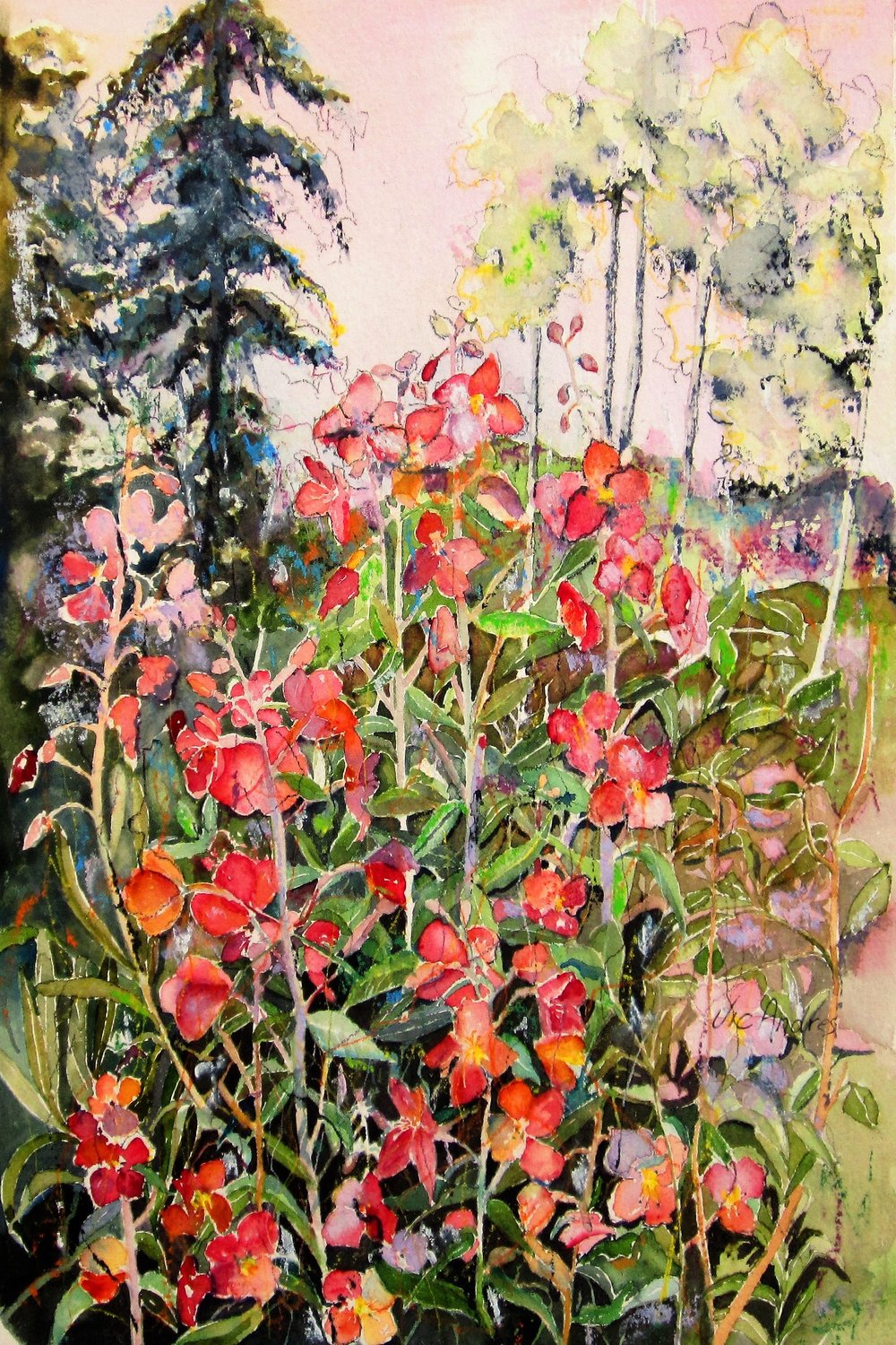 1000x1500 Post - Fireweed Painting