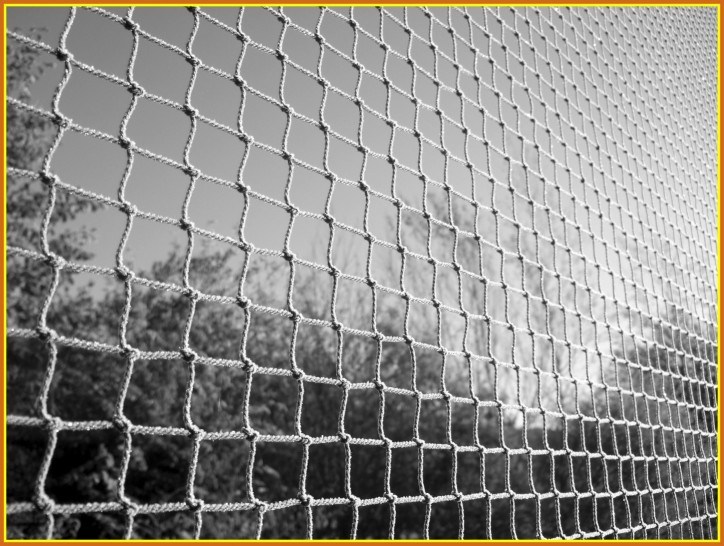 724x546 Awesome Painting Your Chain Link Fence Hercules Pict Of Paint - First Day In Heaven Painting