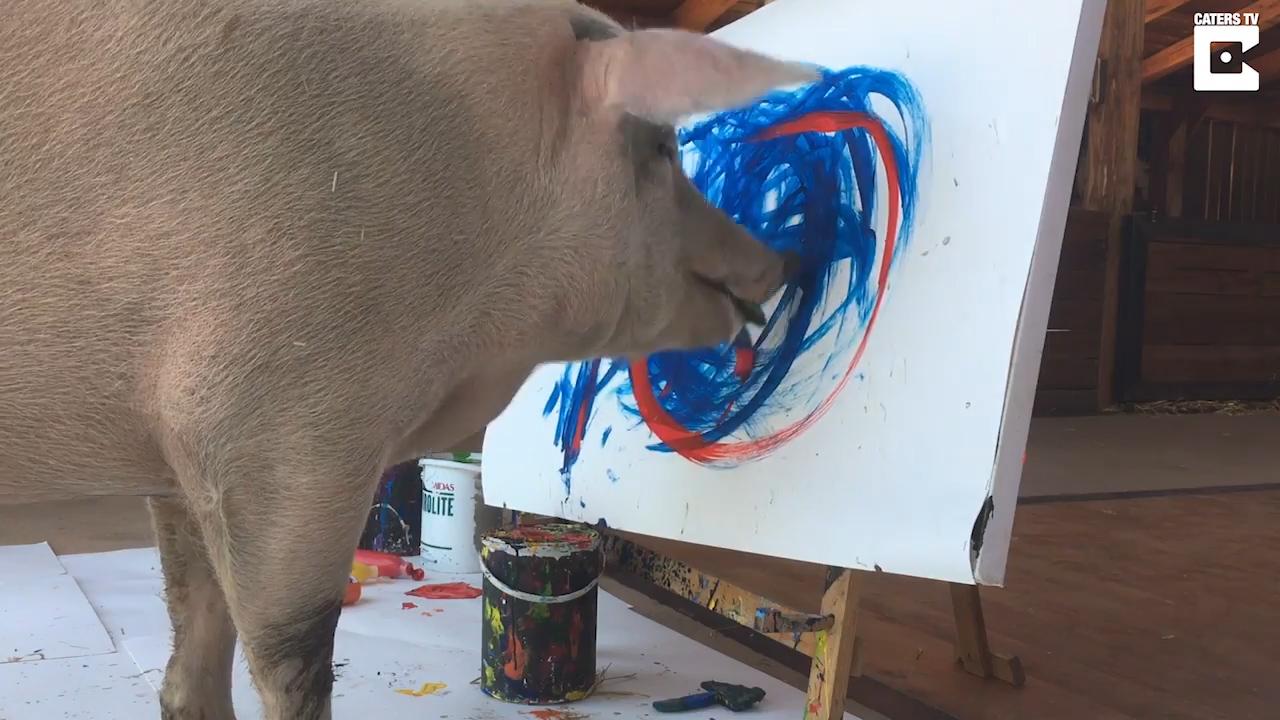 1280x720 Painting Pig Dubbed - First Painting
