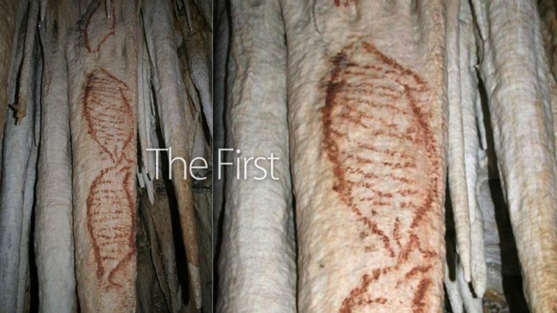 800x450 These Are The Earliest Human Paintings Ever - First Painting