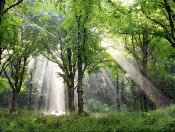 570x428 Light Descending Joseph Smith - First Vision Painting