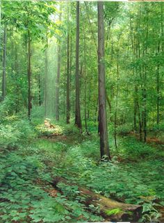 236x321 41 Best Joseph Smith First Vision Pictures Images - First Vision Painting