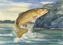 Fish Jumping Out Of Water Painting at PaintingValley.com | Explore ...