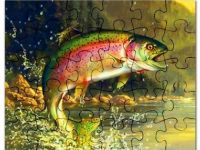 200x150 Picture Fish Jumping Out Water Unique Trout Jumping Out - Fish Jumping Out Of Water Painting