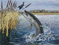 198x150 Charles Weiss Art - Fish Jumping Out Of Water Painting