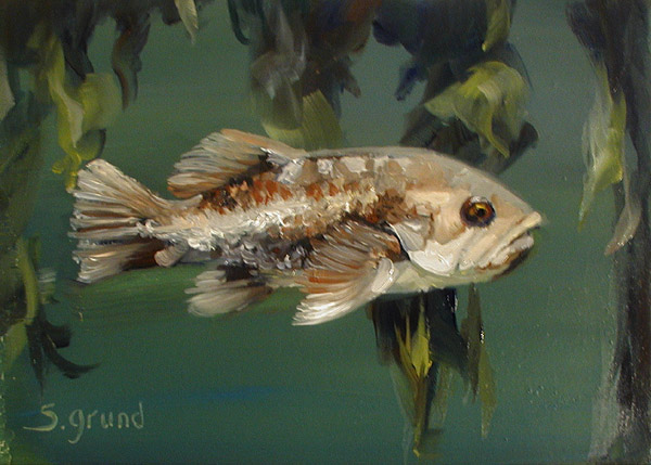 600x429 Oil Paintings By Shelley Grund - Fish Oil Painting