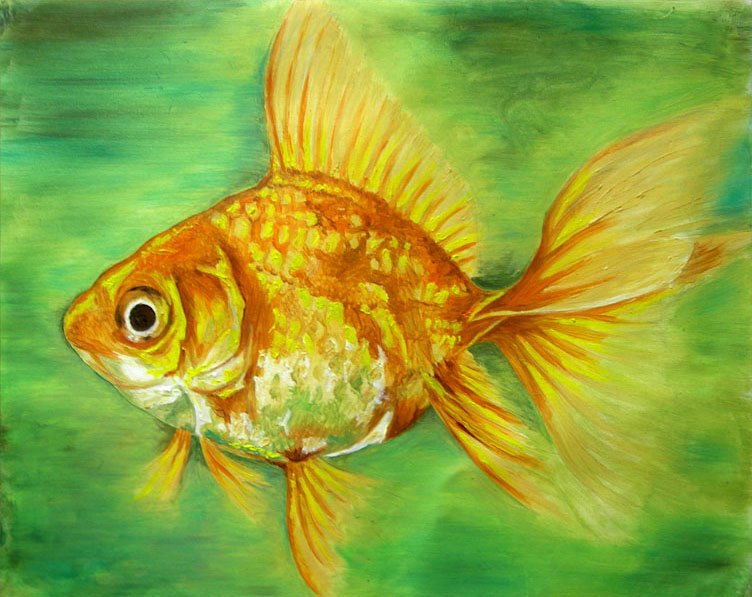 752x597 Fish Oil Painting - Fish Oil Painting