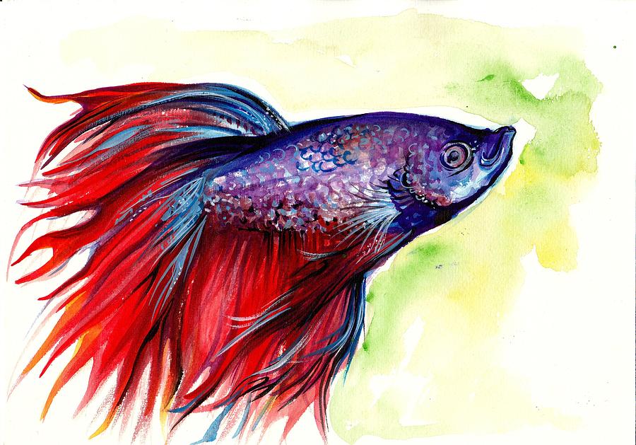 900x629 Beta Splendens Watercolor Fish Painting By Tiberiu Soos - Fish Painting