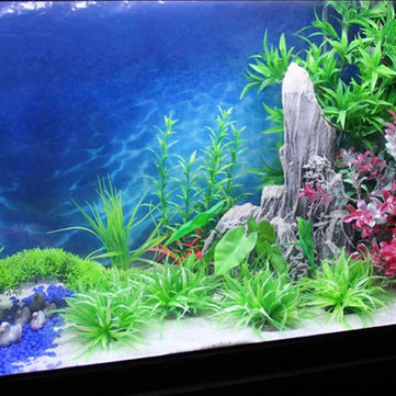 Fish Tank Painting