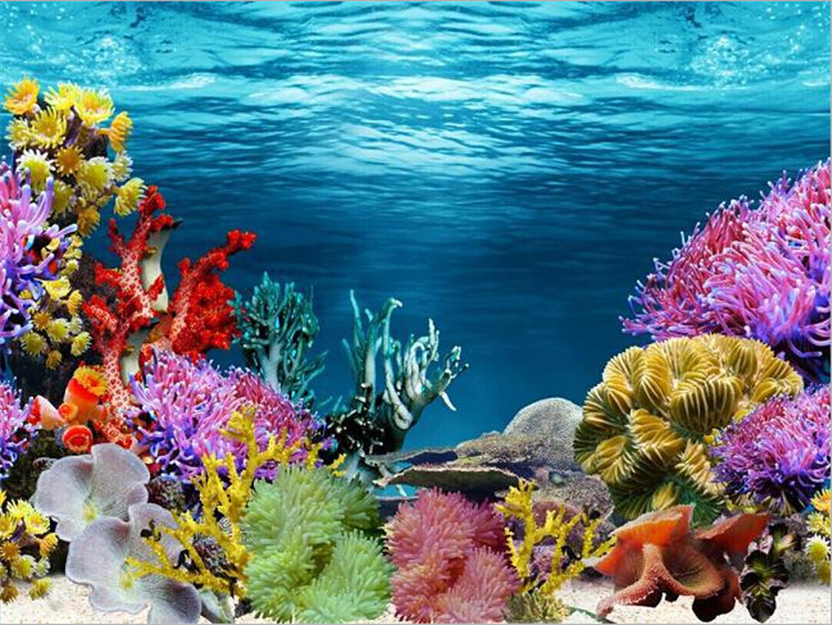 750x563 Single Side Aquarium Fish Tank Decorative Wall Background Paper - Fish Tank Painting