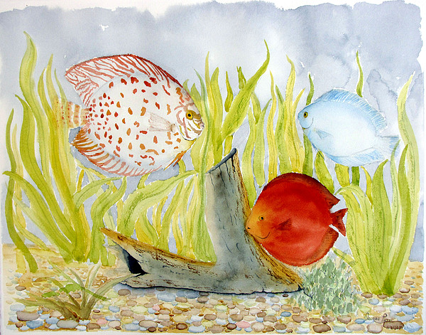 600x471 The Fish Tank Painting By Orlando Torres Santiago - Fish Tank Painting