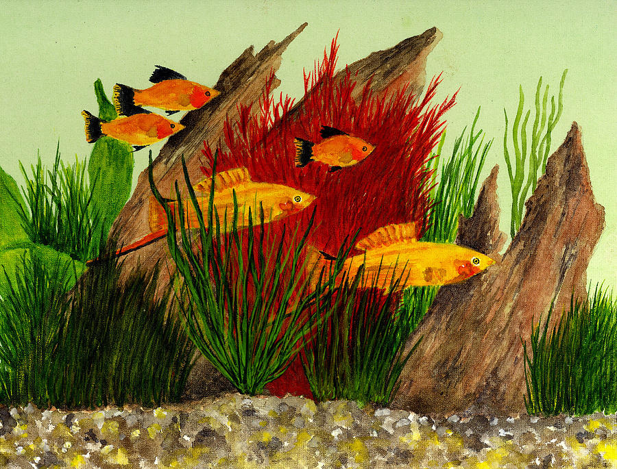900x685 Aquarium Fish Painting By Michael Vigliotti - Fish Tank Painting