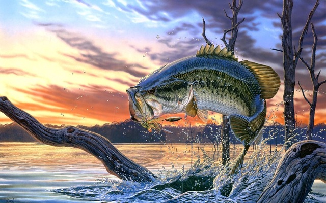 640x400 Large Mouth Bass Fishing Lake Poster Sunset Scenery Landscape - Fishing Painting