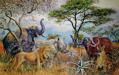 500x315 Aloes Amp Big Five Barbara Philip - Five Painting