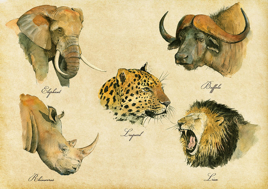 900x635 Big Five Poster Painting By Juan Bosco - Five Painting