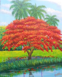 236x295 Flamboyan Y Casita En El Rio Arte De Puerto Rico - Flamboyan Painting