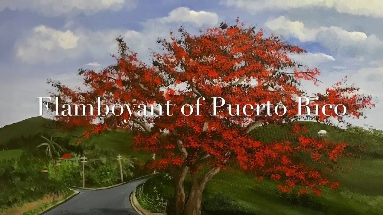 1280x720 Painting The Flamboyant Of Puerto Rico - Flamboyan Painting