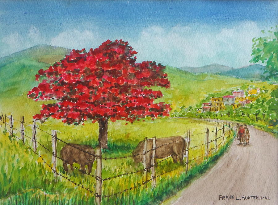 900x665 Flamboyan And Cows In Western Puerto Rico Painting By Frank Hunter - Flamboyan Painting
