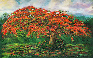 300x188 Flamboyant Tree Paintings Fine Art America - Flamboyant Tree Painting
