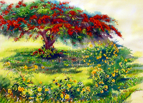 600x434 My Flamboyant Tree Painting By Estela Robles - Flamboyant Tree Painting