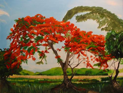 500x378 Flamboyant Tree - Flamboyant Tree Painting
