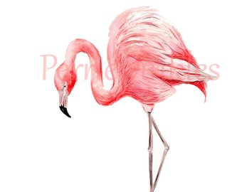 340x270 Flamingo Painting Etsy - Flamingo Painting