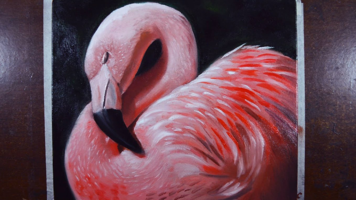 1358x764 How To Paint A Flamingo - Flamingo Painting
