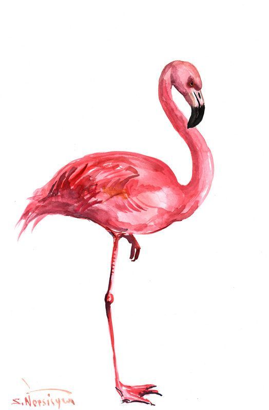 524x800 Pink Flamingo Original Watercolor Painting 17 X 11 By Originalonly - Flamingo Painting