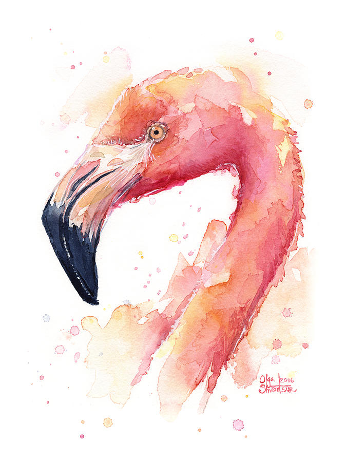 674x900 Flamingo Watercolor Painting By Olga Shvartsur - Flamingo Painting Abstract