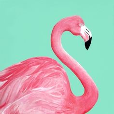 236x236 Flamingo Art Print For The Unit The Letter S Stuff - Flamingo Painting Acrylic