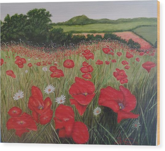 536x491 In Flander's Field Painting By Xavier Maumus - Flanders Field Painting