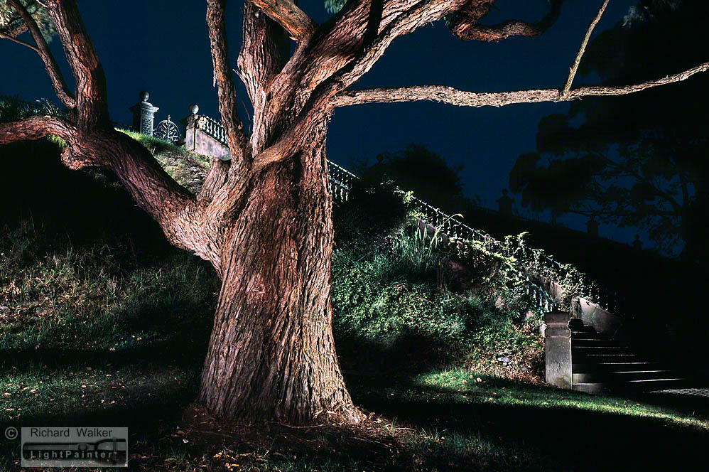 998x664 The Drama Of Light Painting Richard Walker - Flashlight Painting